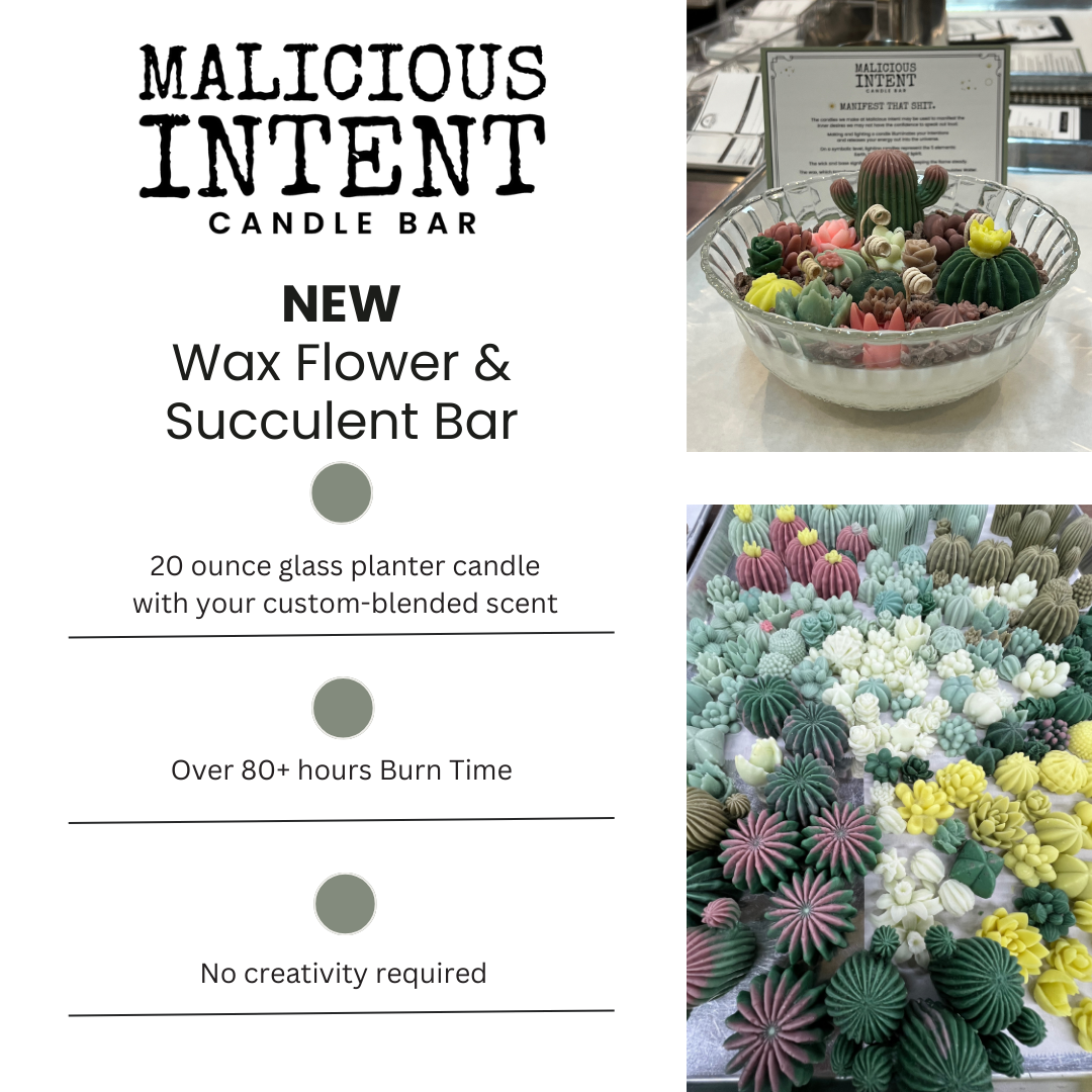 Wax Succulent Garden Candle Class